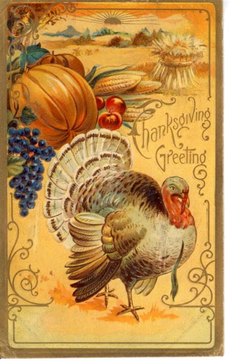 Vintage Thanksgiving Postcards | Thanksgiving pictures, Thanksgiving greetings, Vintage ...