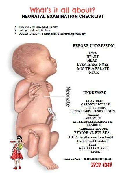 Neonatal Examination | Neonatal nurse, Newborn nursing, Neonatal nurse ...