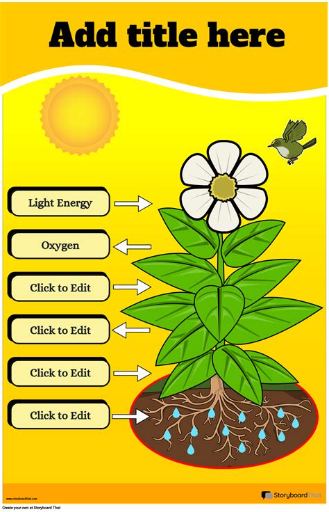 Photosynthesis Posters — Free Cellular Respiration Posters