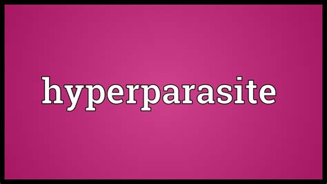 Hyperparasite Meaning - YouTube