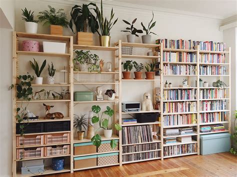 Cozy Book Nook with Plants