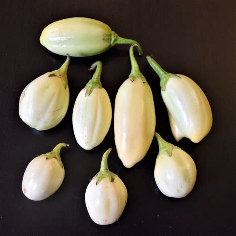 White Garden Egg (Eggplant) – Truelove Seeds