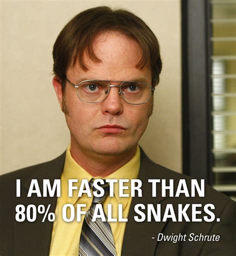 Funny Dwight Schrute Quotes. QuotesGram