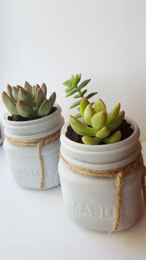 Succulents in Mason Jars: Cute Favor Idea for Weddings | Emmaline Bride