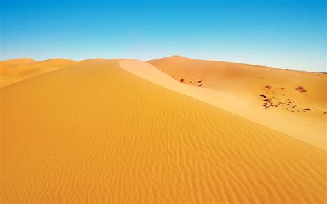 Desert Cartoon Wallpapers - Top Free Desert Cartoon Backgrounds - WallpaperAccess