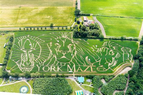 Updated with video and pix: York Maze reveals its theme for 2019 | YorkMix