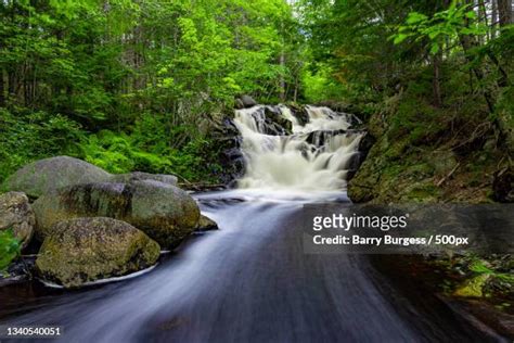 New Germany Nova Scotia Photos and Premium High Res Pictures - Getty Images