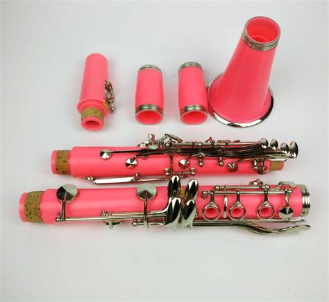 Clarinet Bb ABS Pink Color 17 key | Clarinet, Pink color, Pink