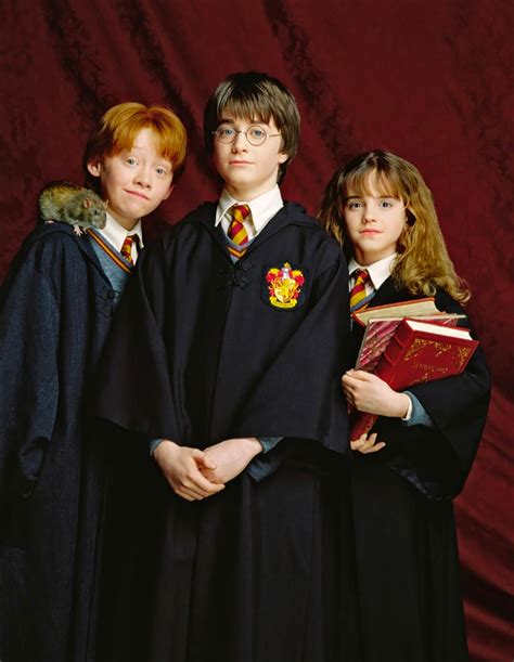 Portrait of Harry, Ron and Hermione — Harry Potter Fan Zone