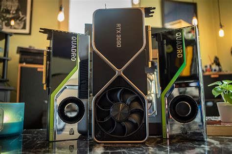 NVIDIA GeForce RTX 3090 vs Quadro RTX 8000 Creative Professional Review ...