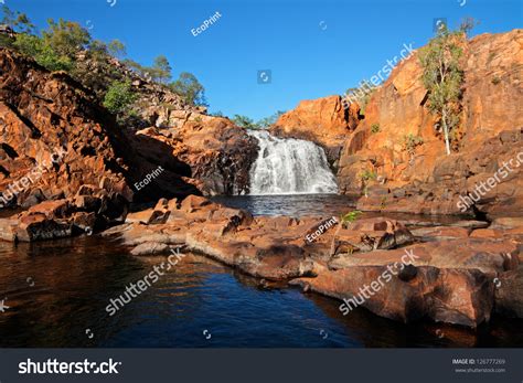 Kakadu Images, Stock Photos & Vectors | Shutterstock