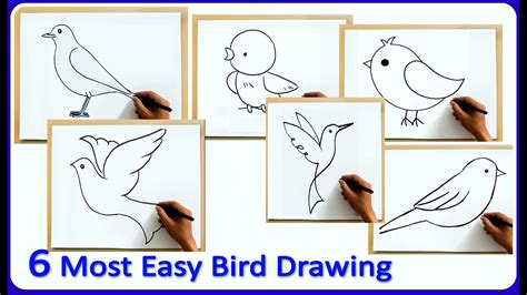 Easy Bird Drawing for Kids || How to Draw Bird for Kids (6 types of ...