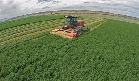 A Cut Above: Hesston WR9870 Windrowers - AGCO FarmLife