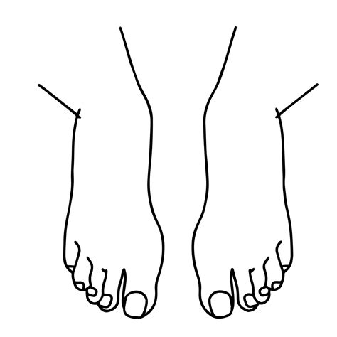 Vector Cartoon outline, Top view of Human man Left and right foot ...