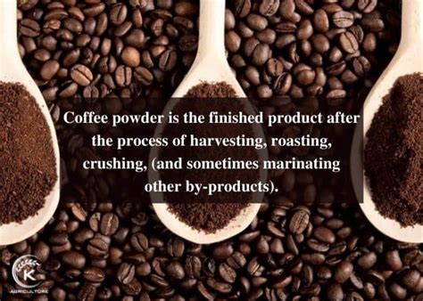 Coffee Powder: Key Factor For A Delicious Coffee Cup | K-Agriculture