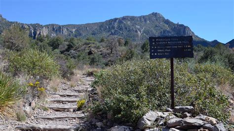 Visit Big Bend National Park: 2024 Travel Guide for Big Bend National ...