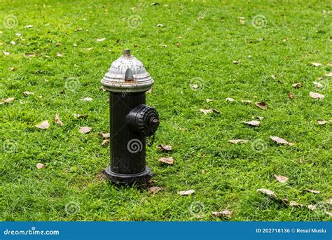 Old-fashioned fire hydrant stock photo. Image of danger - 202718136