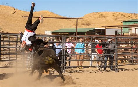 'Jackass Forever' review: pure, prank-filled joy (and a lot of testicles)