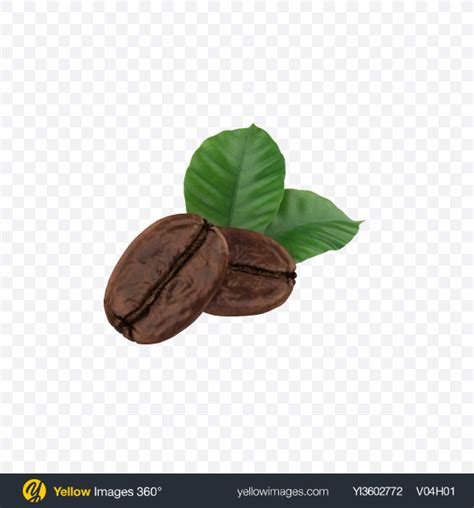 Download Coffee Beans & Leaves Transparent PNG on YELLOW Images