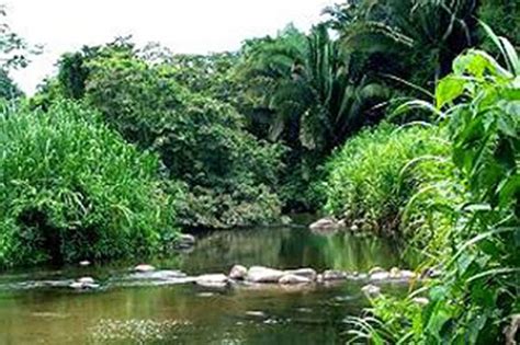 Holiday To Belize | Cockscomb Basin Wildlife Sanctuary | Adventure Guide