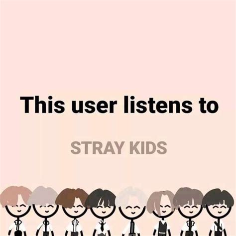 Stray Kids Fan