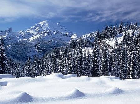 mostbeautifuldesktopwallpaper: Free download Heavy snowfall in Kashmir wallpaper, Live Snowfall ...