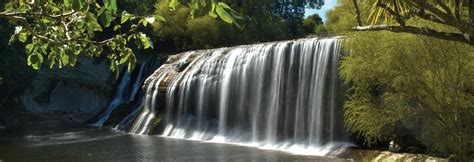 Things to see and do in Gisborne | 100% Pure New Zealand