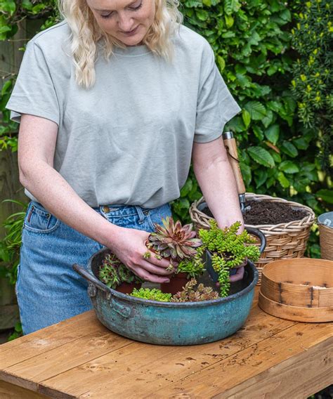 How to plant flowers in pots: step-by-step guide to patio containers | Gardeningetc