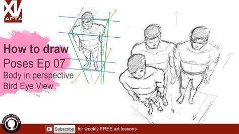 Diplomatico Tassa di ammissione Sospettare body perspective drawing ...