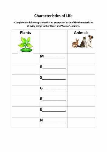 50 Characteristics Of Life Worksheet