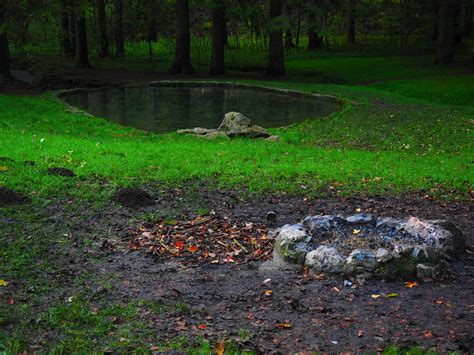 black and gray fire pit beside green grasses free image | Peakpx