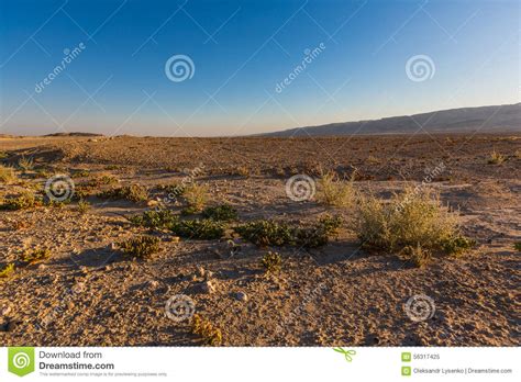 Negev desert landscape stock image. Image of cliff, tourism - 56317425