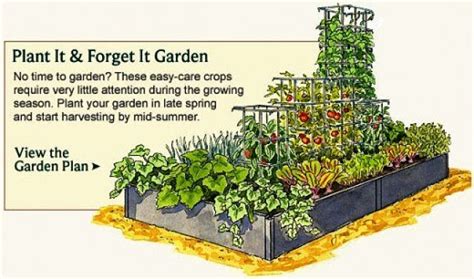 Vegetable Garden Planner - Layout, Design, Plans for Small Home Gardens