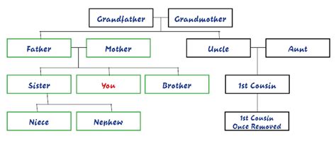 Family Tree Template: Family Tree Template Showing Cousins