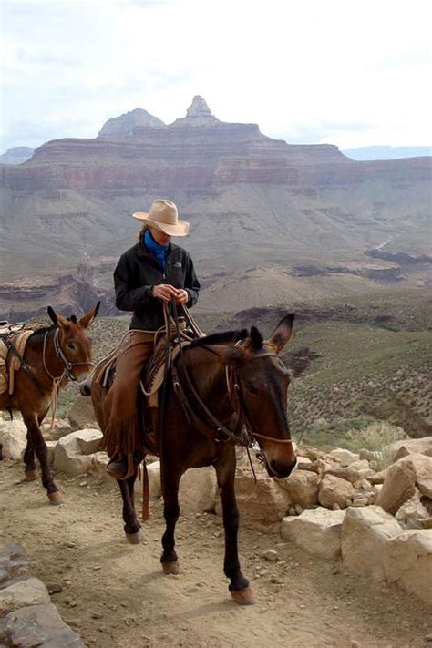 South Kaibab Trail, Grand Canyon : Photos, Diagrams & Topos : SummitPost