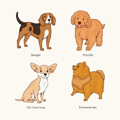 Free Vector | Hand drawn dog breeds illustration