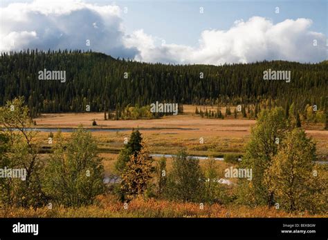 Sarek National Park Stock Photo - Alamy