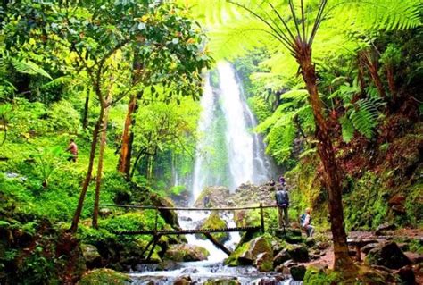 Harga Tiket Masuk Curug Cilember Bogor Juli 2024 | Cek Tiket