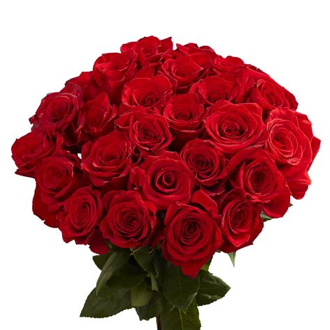 Buy 50 Red Roses- Sweet Fresh Flowers- Guaranteed Next Day Delivery Online at desertcartPhilippines