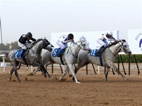 One-two for the Kingdom as Al Naboodha’s AF Maher finishes third | Horse-racing – Gulf News