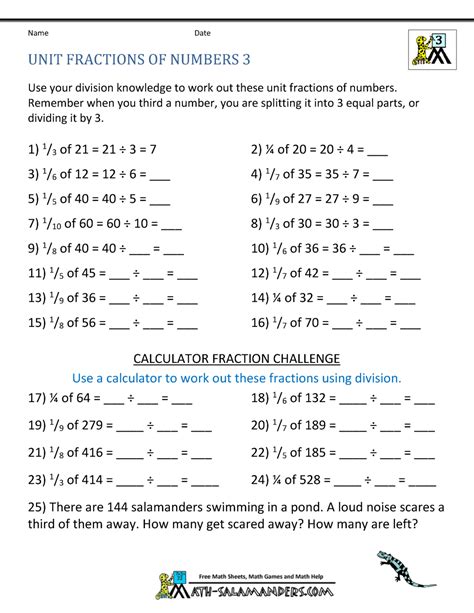 Unit Fraction of Numbers