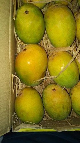 Alphonso Mangoes at Rs 700/dozen | Premium fruits in Nashik | ID: 20840304791