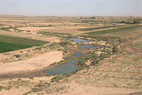 Old Assyrian Trade with Anatolia in the 20th Century BCE