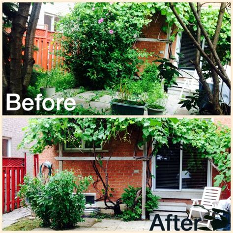 before and after! some major yard clean up! landscape, backyard, lawn maintenance | Lawn ...