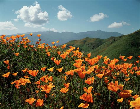 USA, California, Lake Elsinore Photograph by Christopher Talbot Frank ...