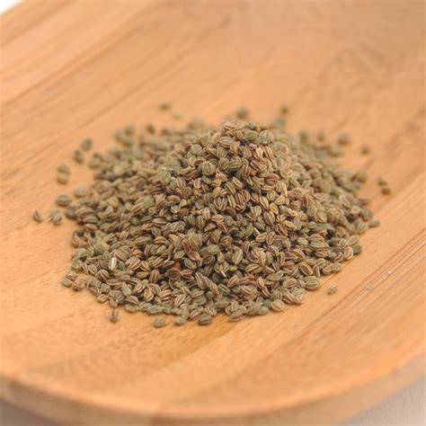 Celery Seed, Whole - North Market Spices