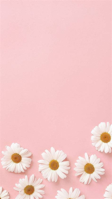 Top 999+ Flowers Aesthetic Wallpaper Full HD, 4K Free to Use