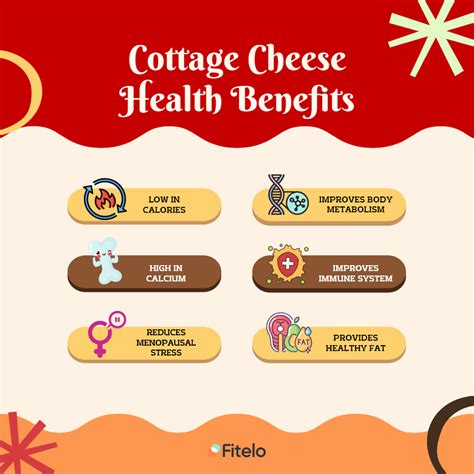 Cottage Cheese: 6 Effective Health Benefits For Weight Loss