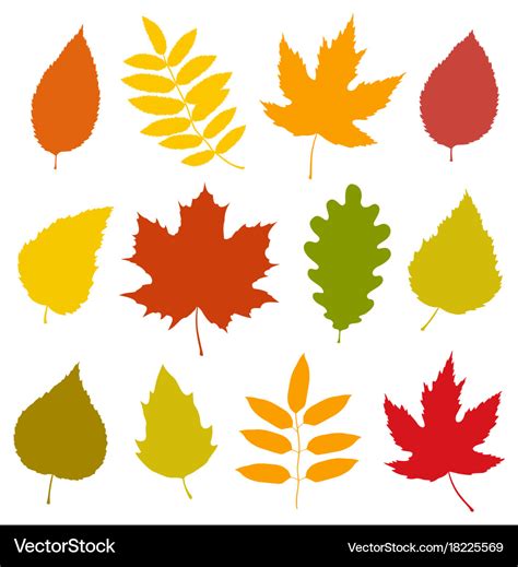 Set of isolated colorful autumn leaves silhouettes