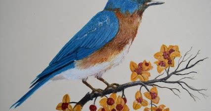 Painting An Eastern Bluebird in Acrylic(4)